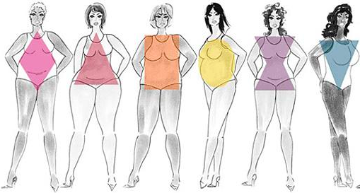 body shapes