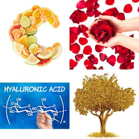 Xanadu Contents Xanadu Contents