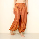 aladdin pants